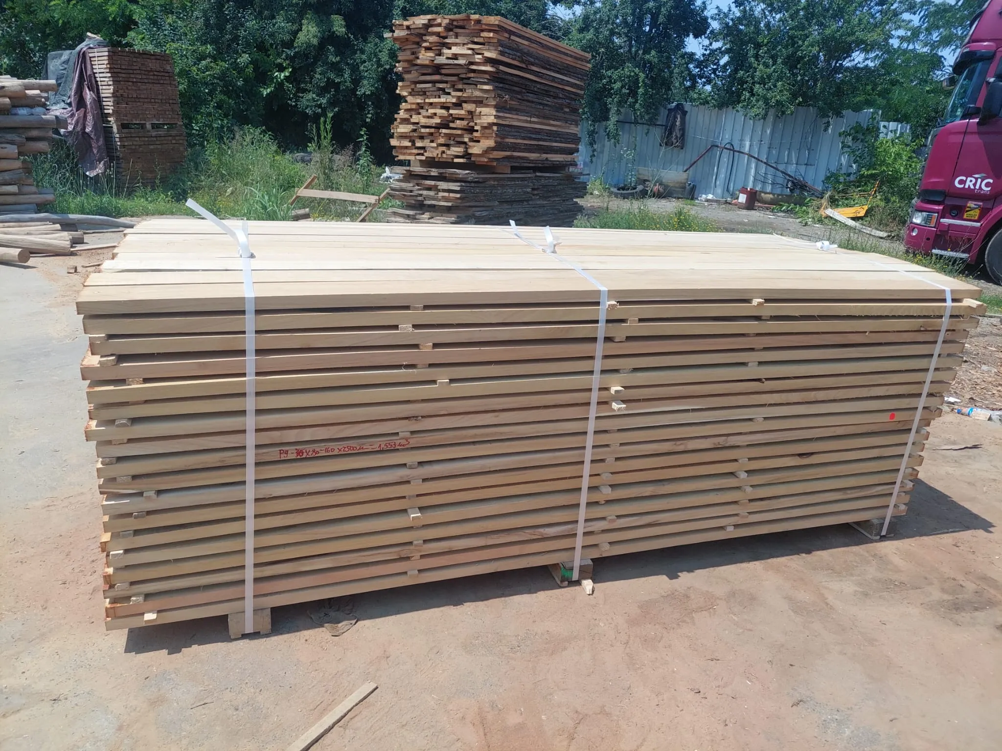 Robinia Sawn Timber Falling Width 2