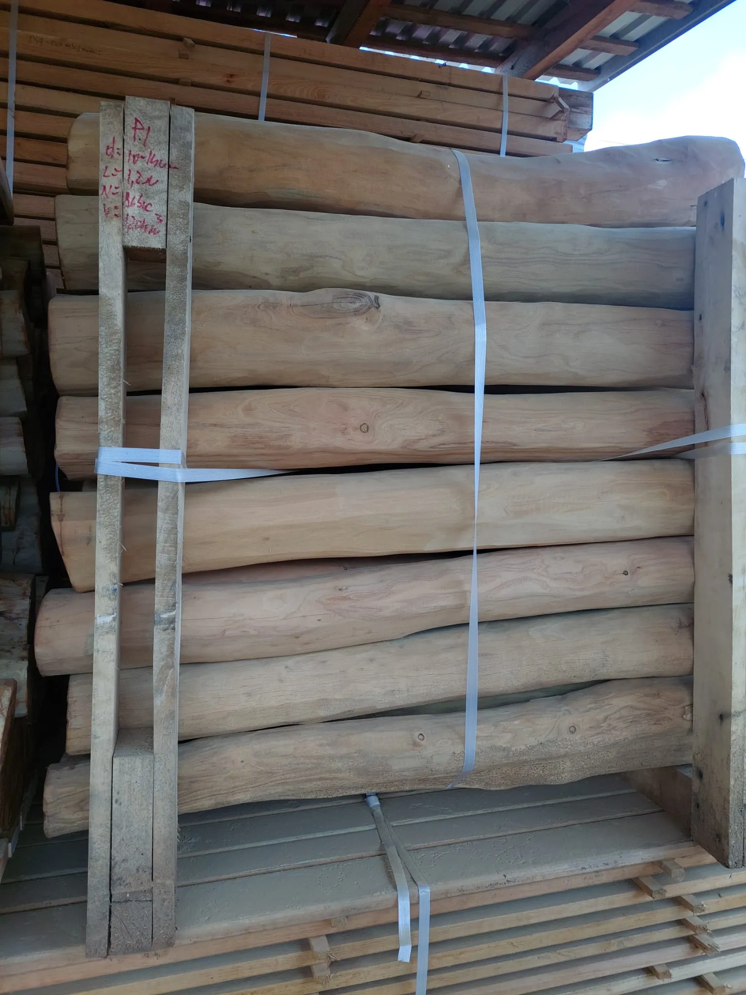 Robinia Palisades Natur 20