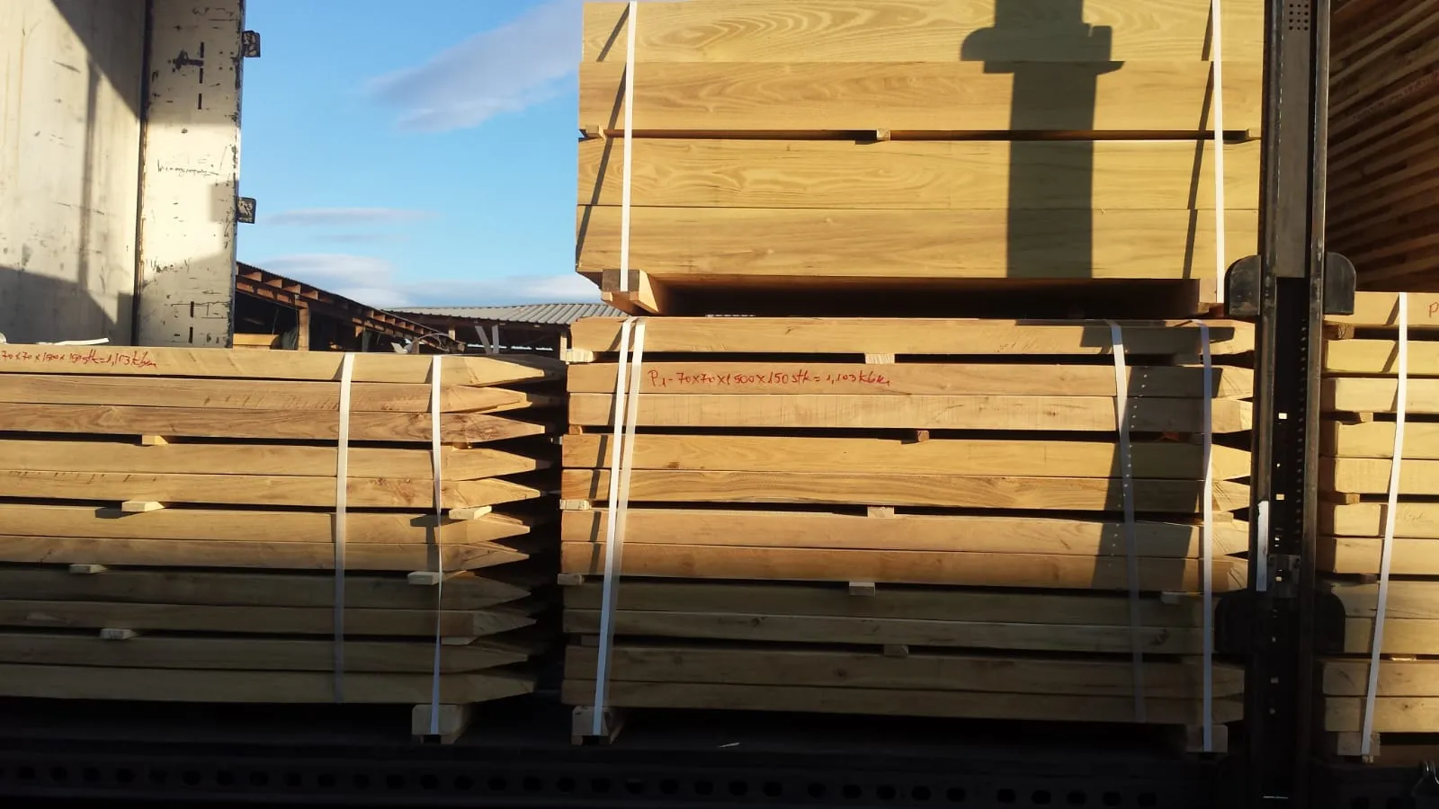Robinia Squared Posts 2