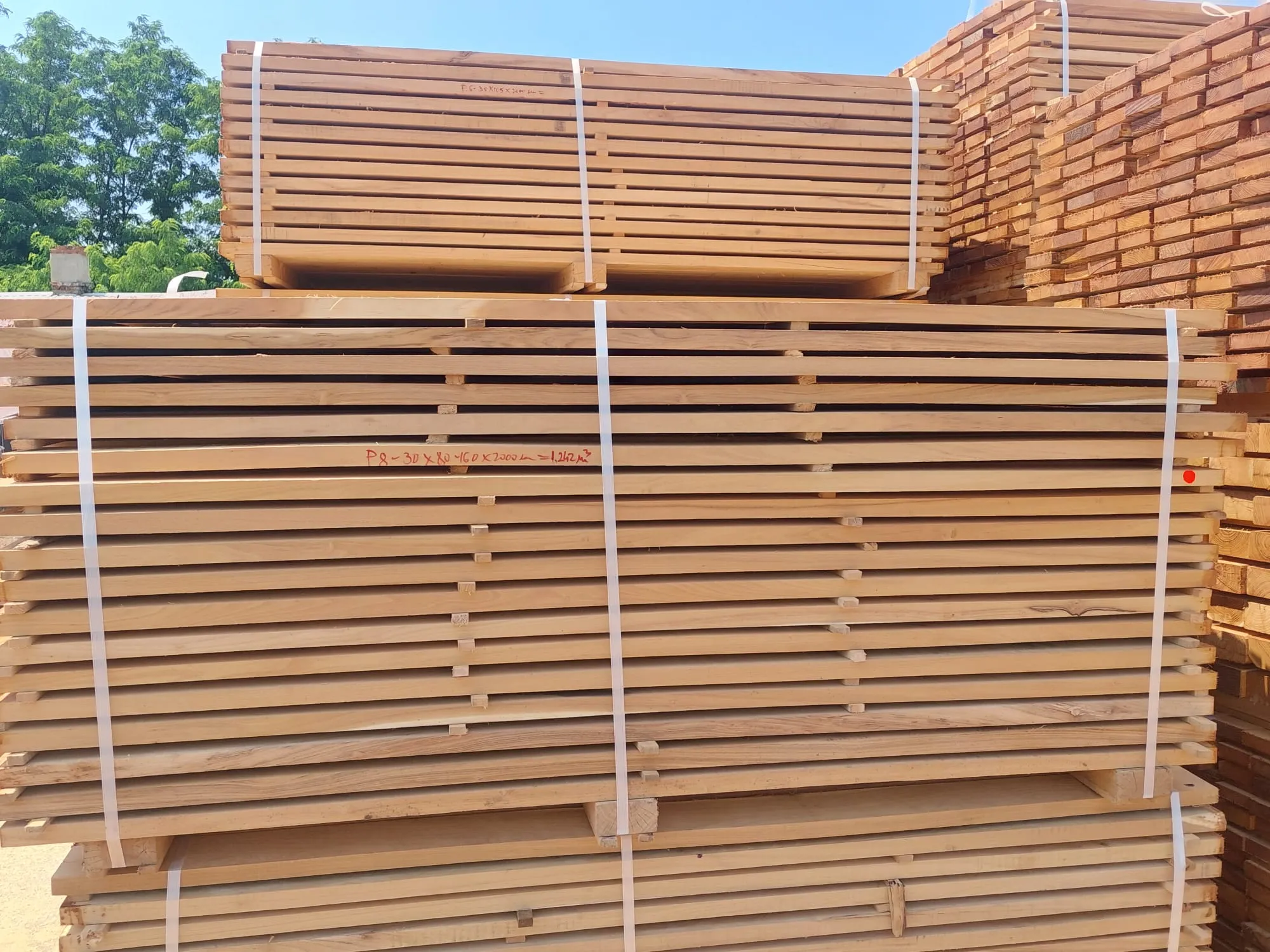 Robinia Sawn Timber Falling Width 6