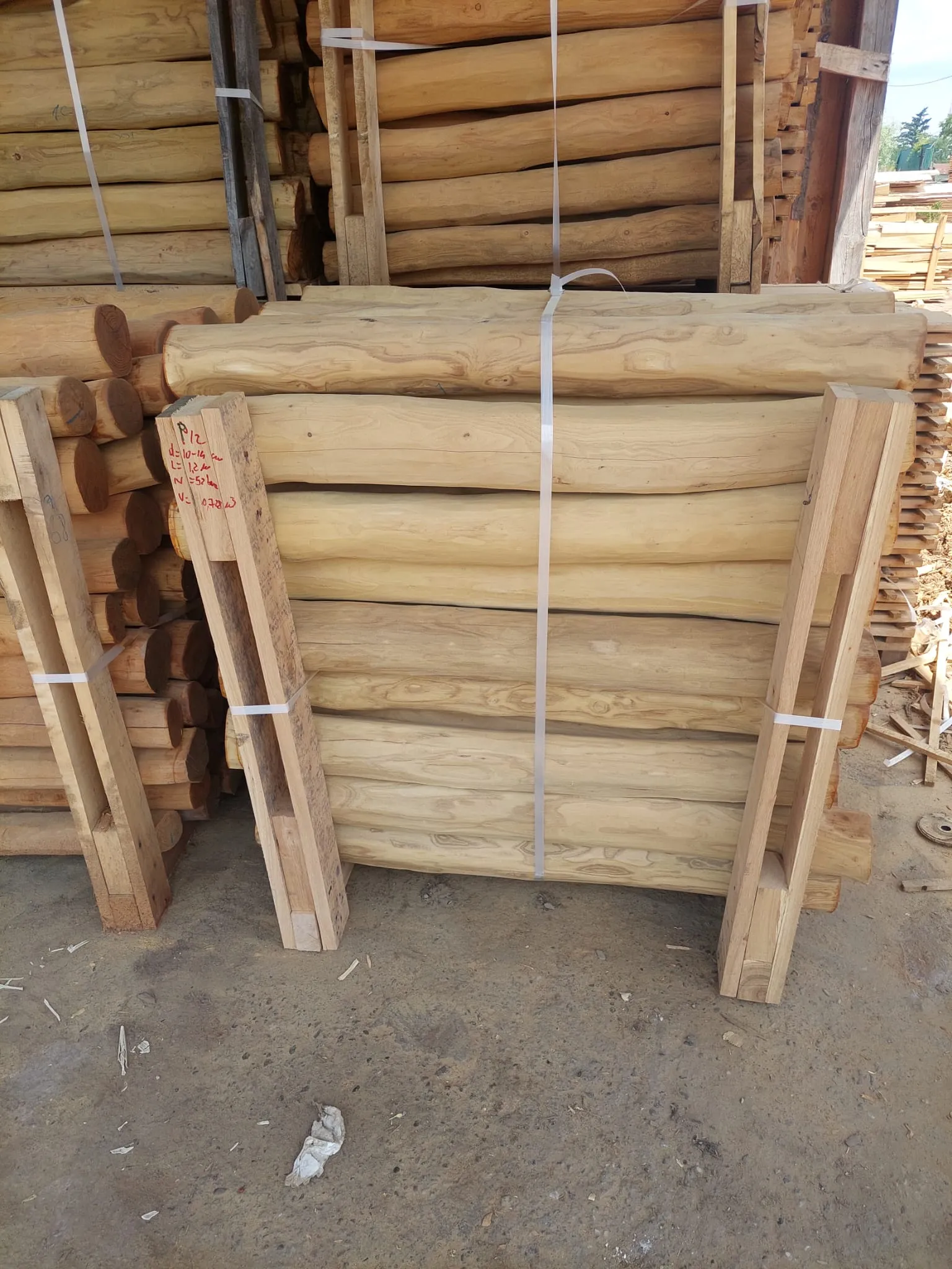 Robinia Palisades Natur 1