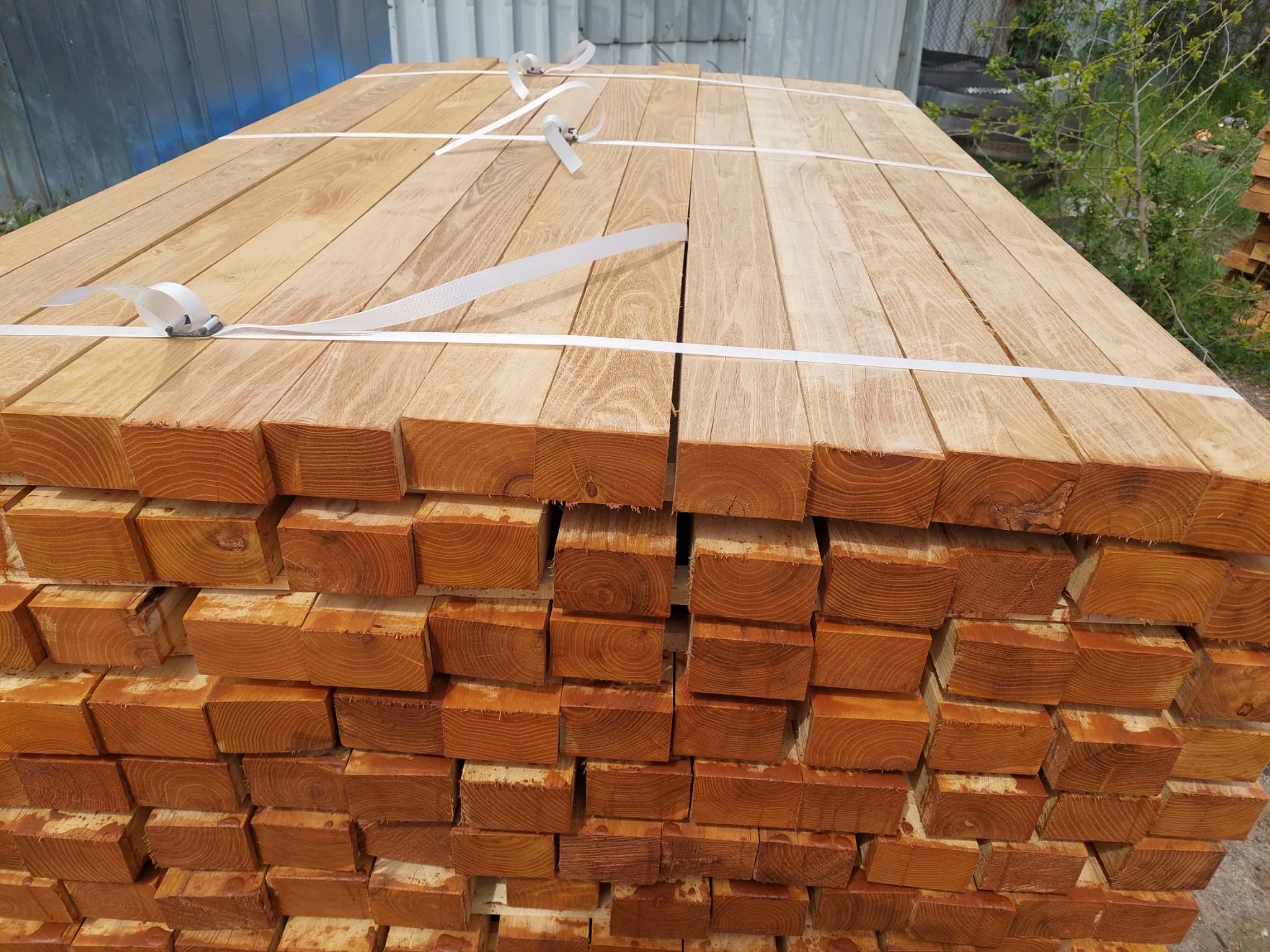 Robinia Squared Timber 2