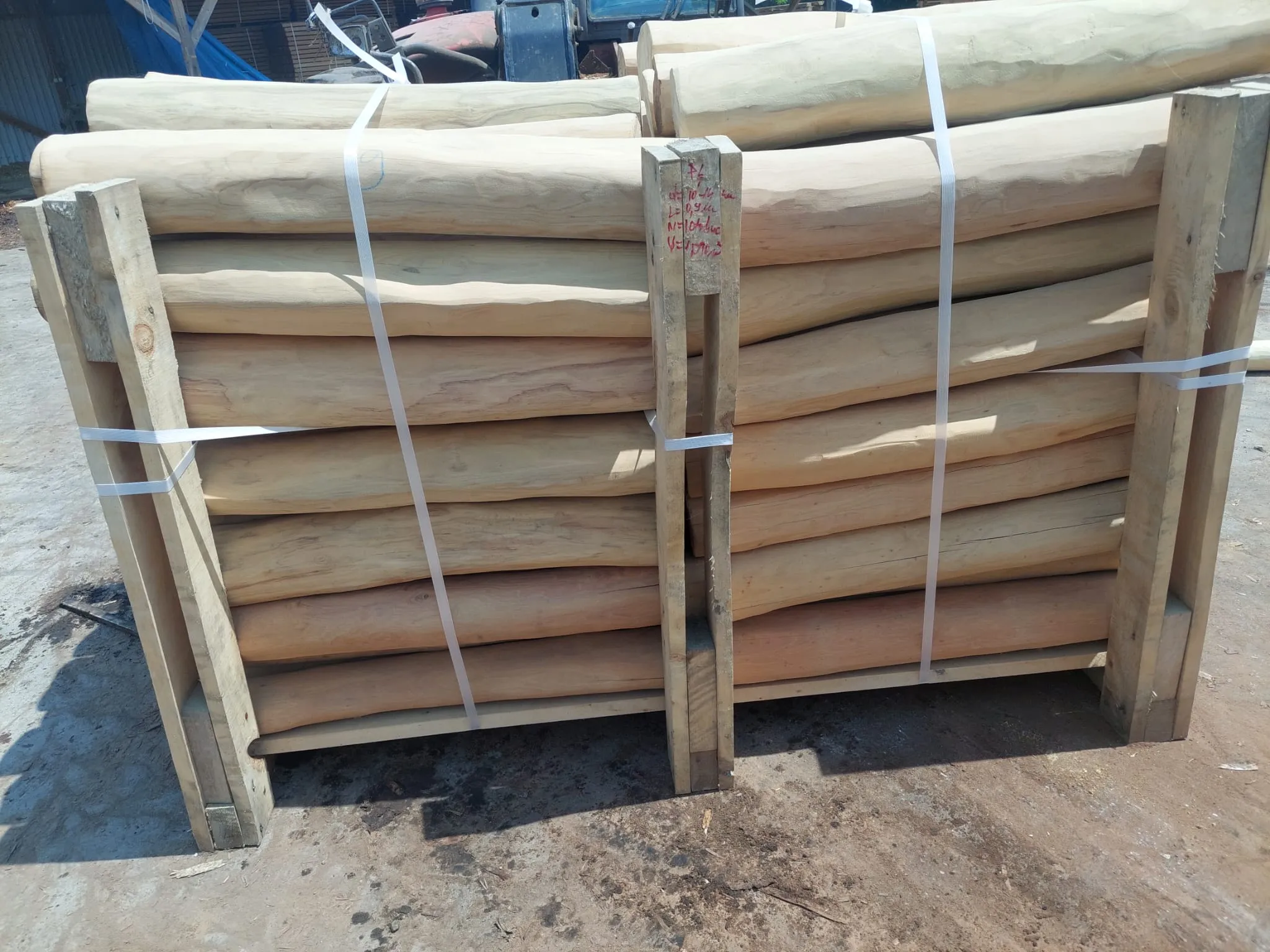 Robinia Palisades Natur 5