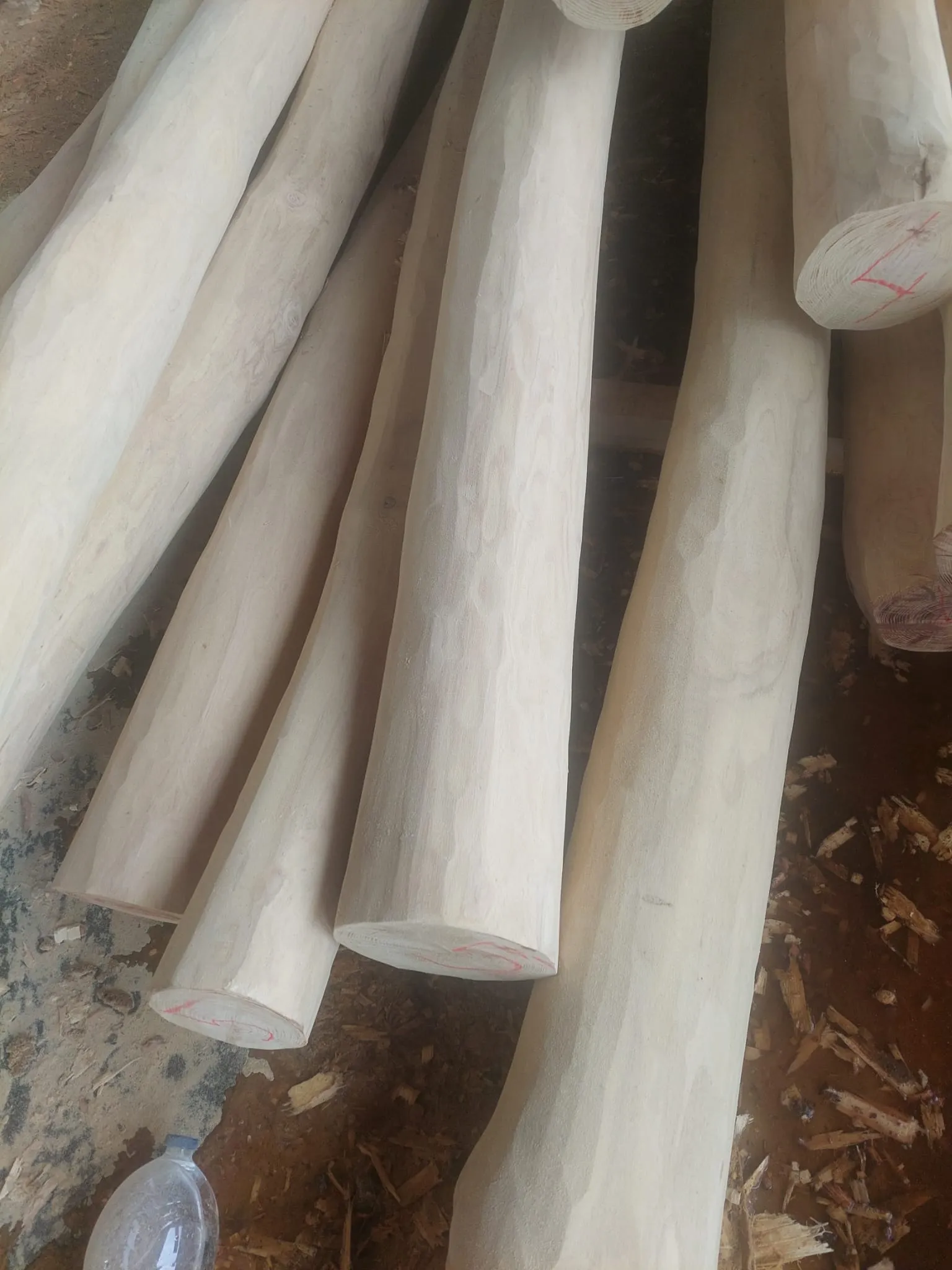 Robinia Round Poles Sapwood Free 2
