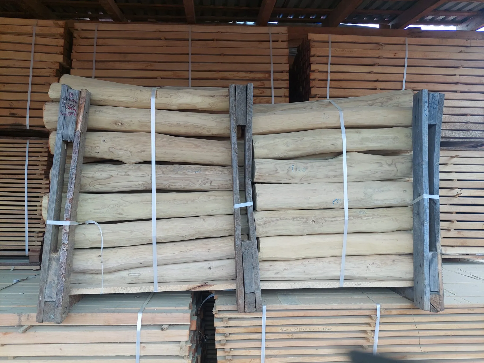 Robinia Palisades Natur 12