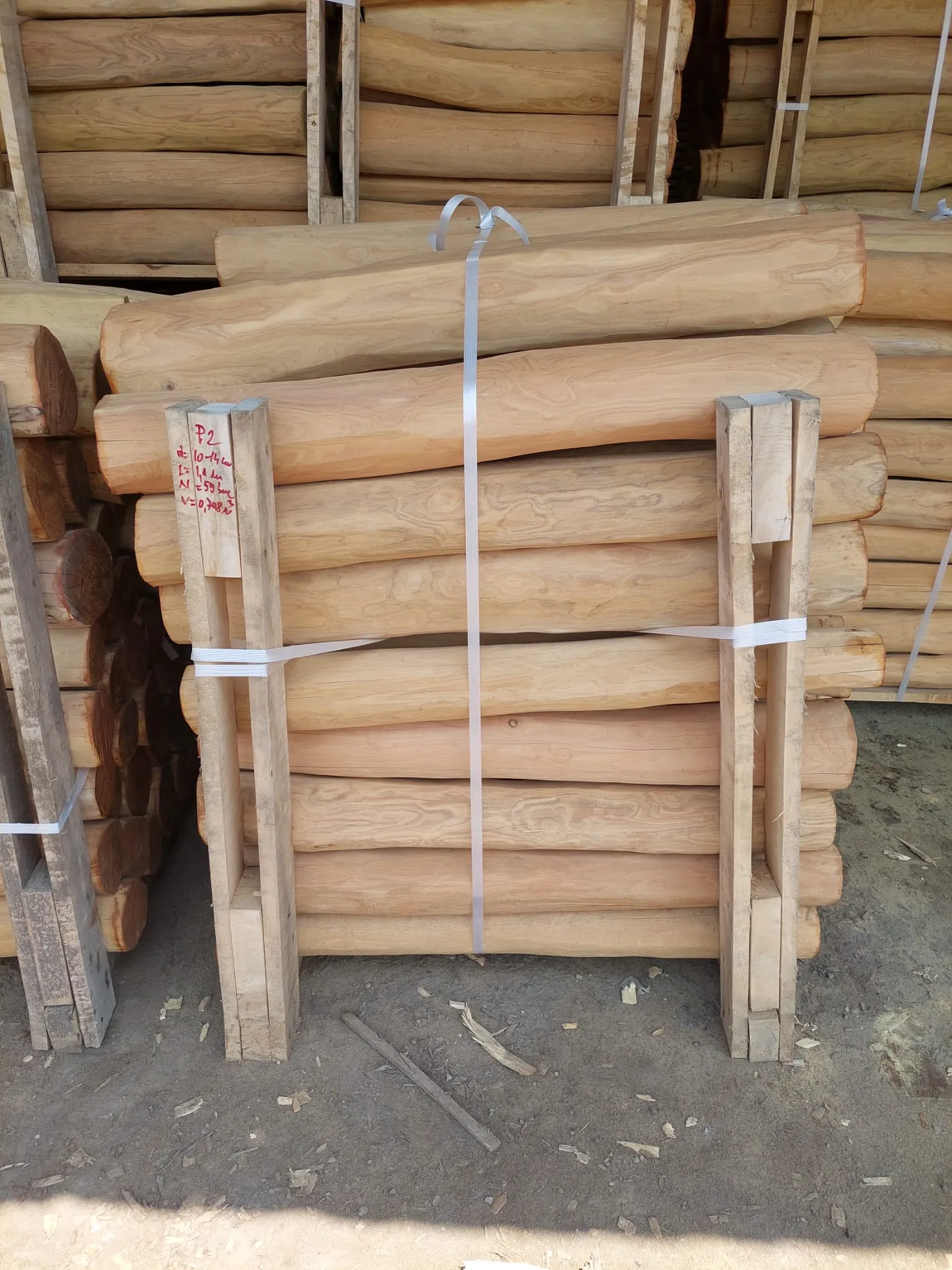Robinia Palisades Natur 10
