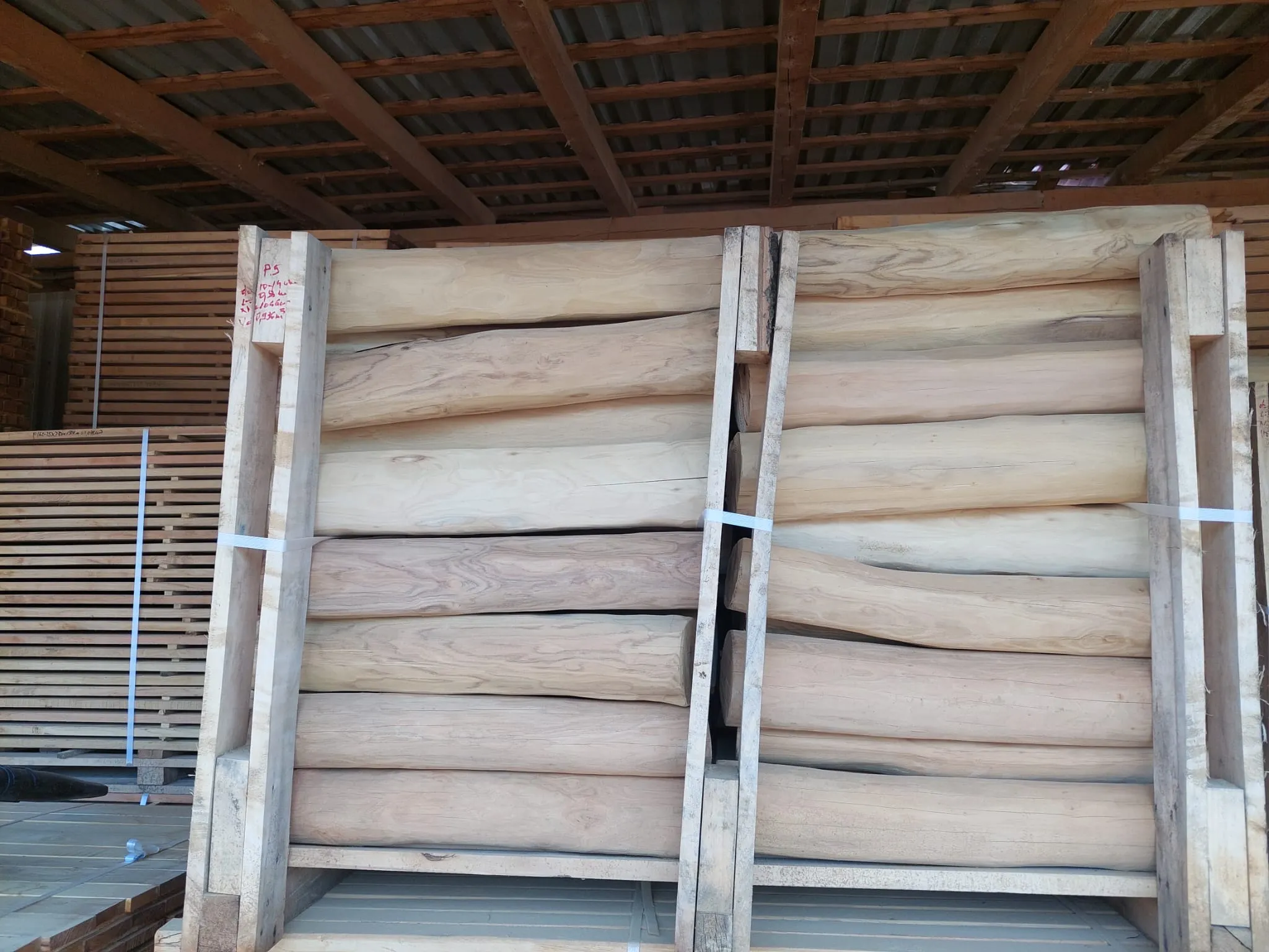 Robinia Palisades Natur 14