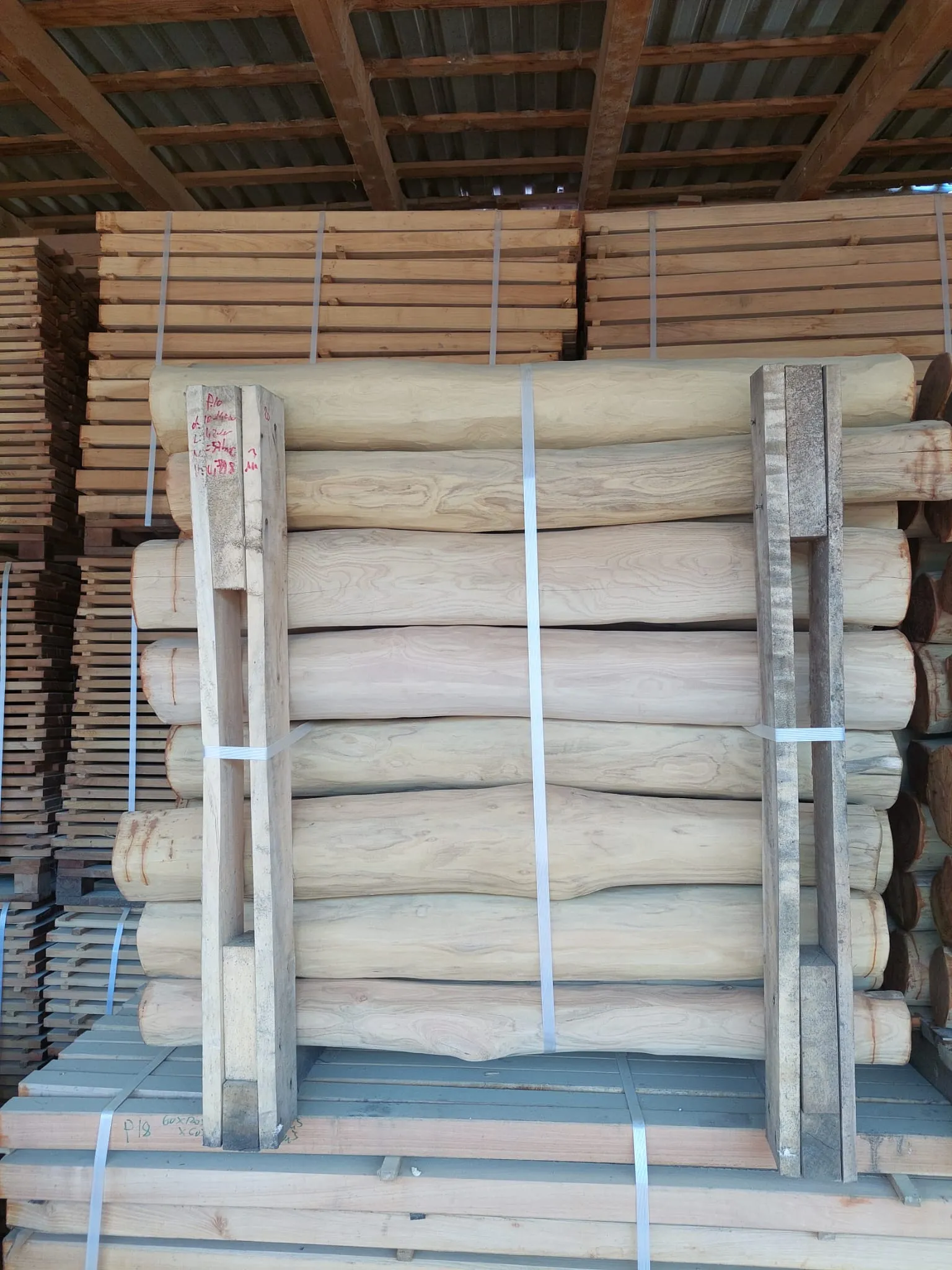 Robinia Palisades Natur 15