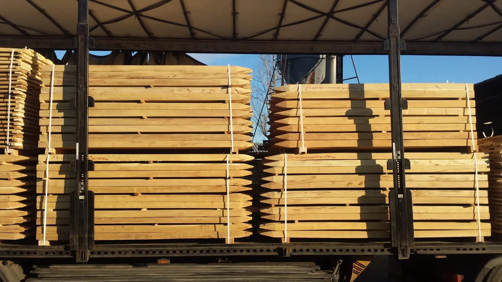 Robinia Squared Posts 1