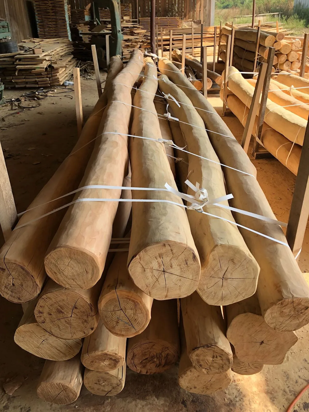 Robinia Round Poles Sapwood Free 1