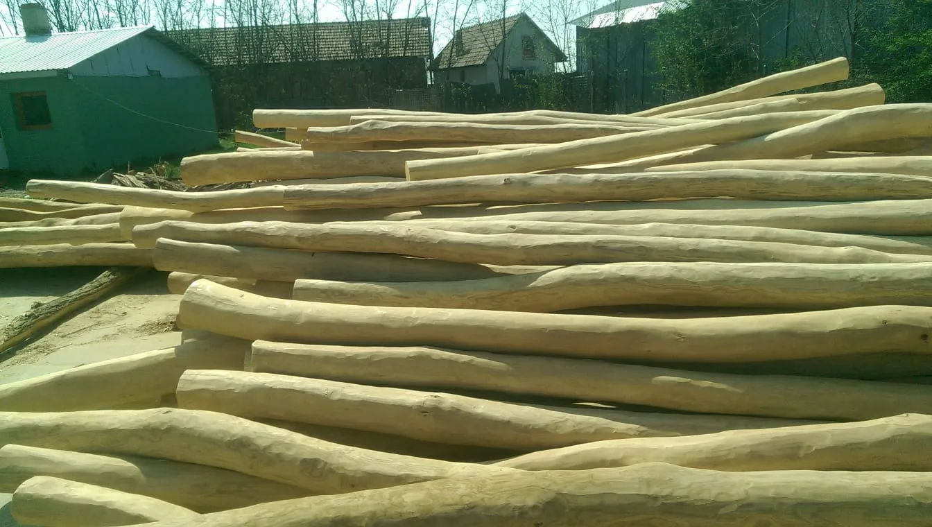 Robinia Round Poles Sapwood Free 5