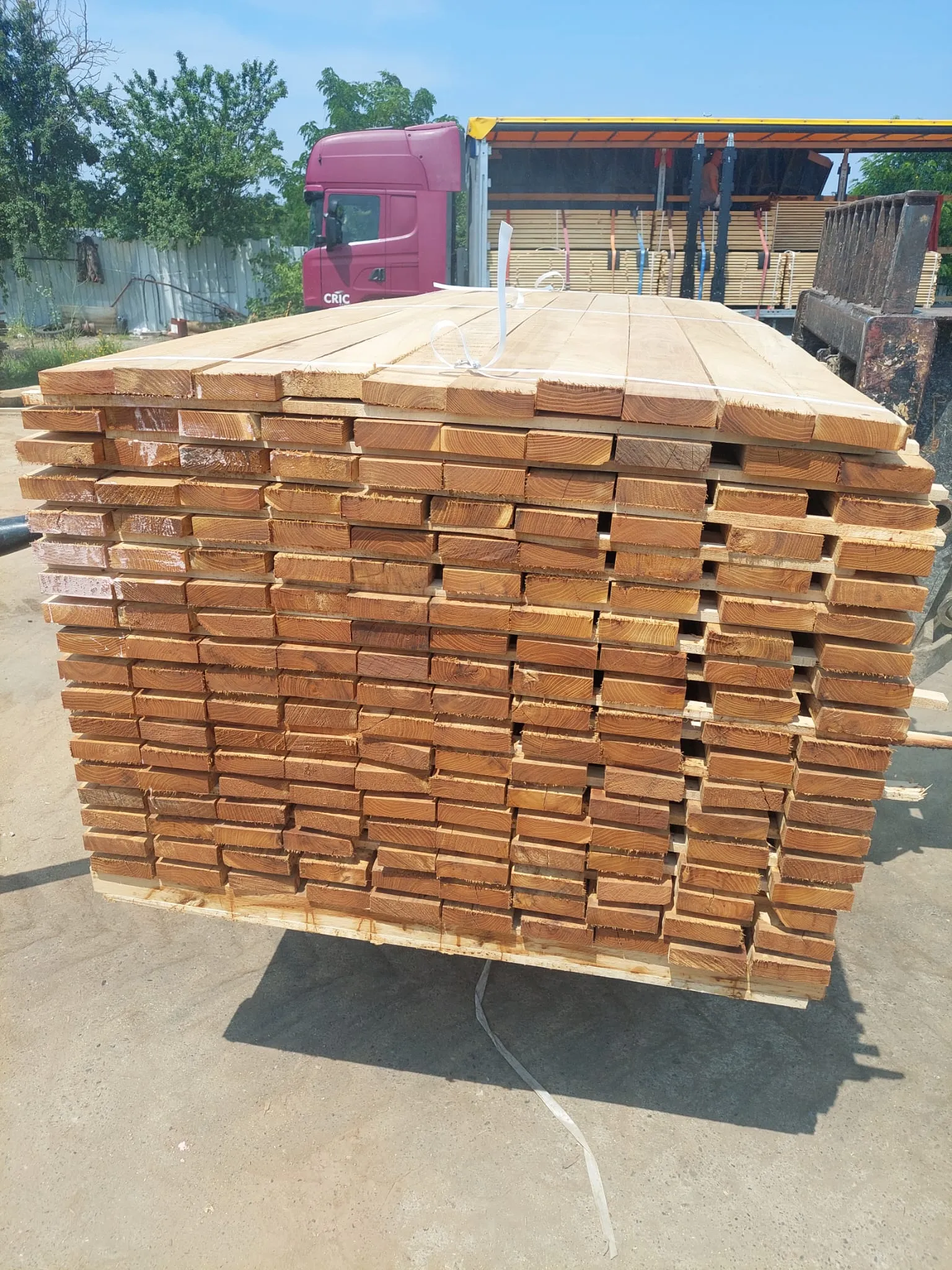 Robinia Sawn Timber Fixed Width 5