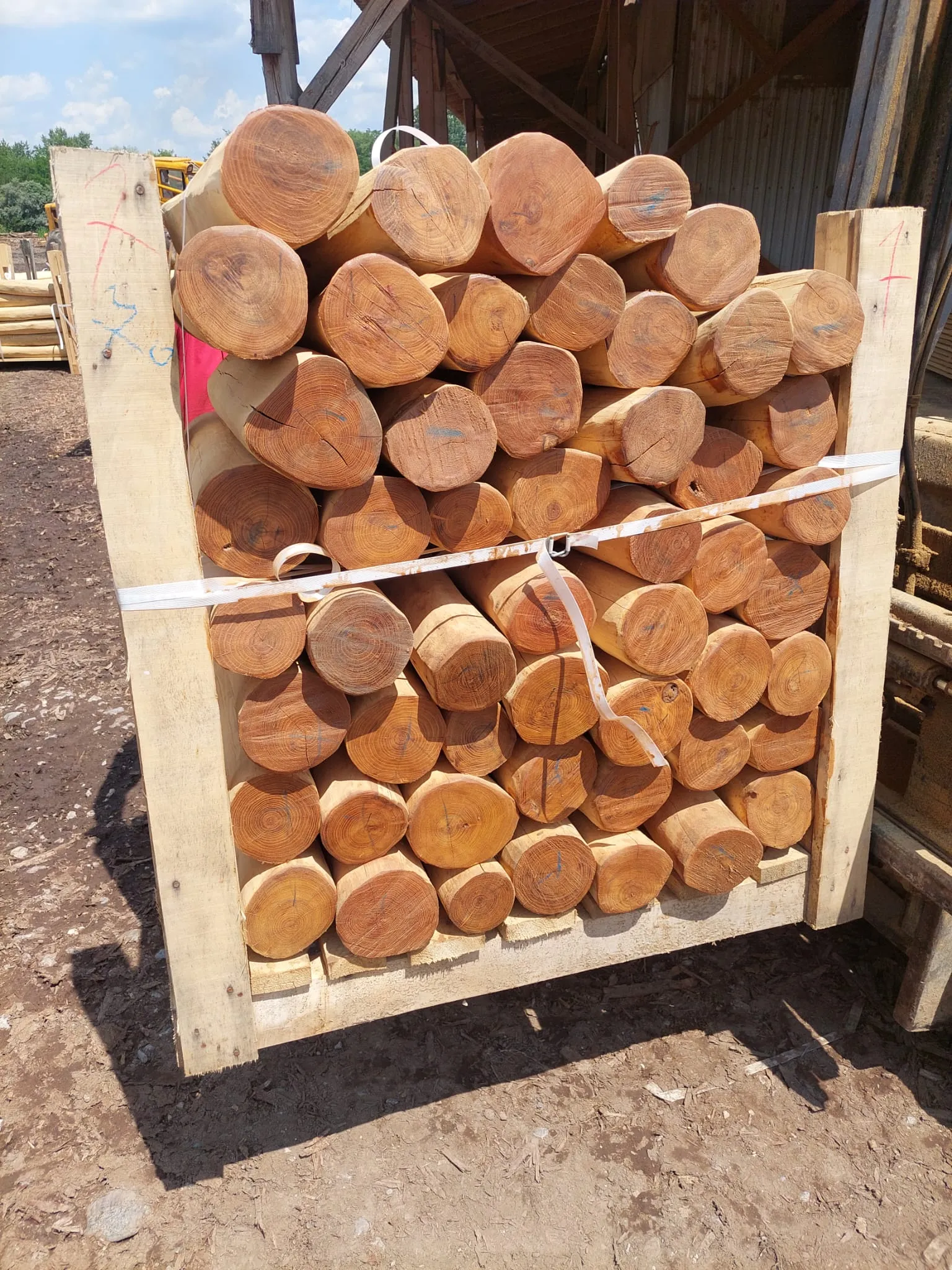 Robinia Palisades Natur 8
